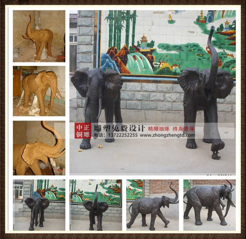 大象_副本800.jpg 大象_副本800.jpg